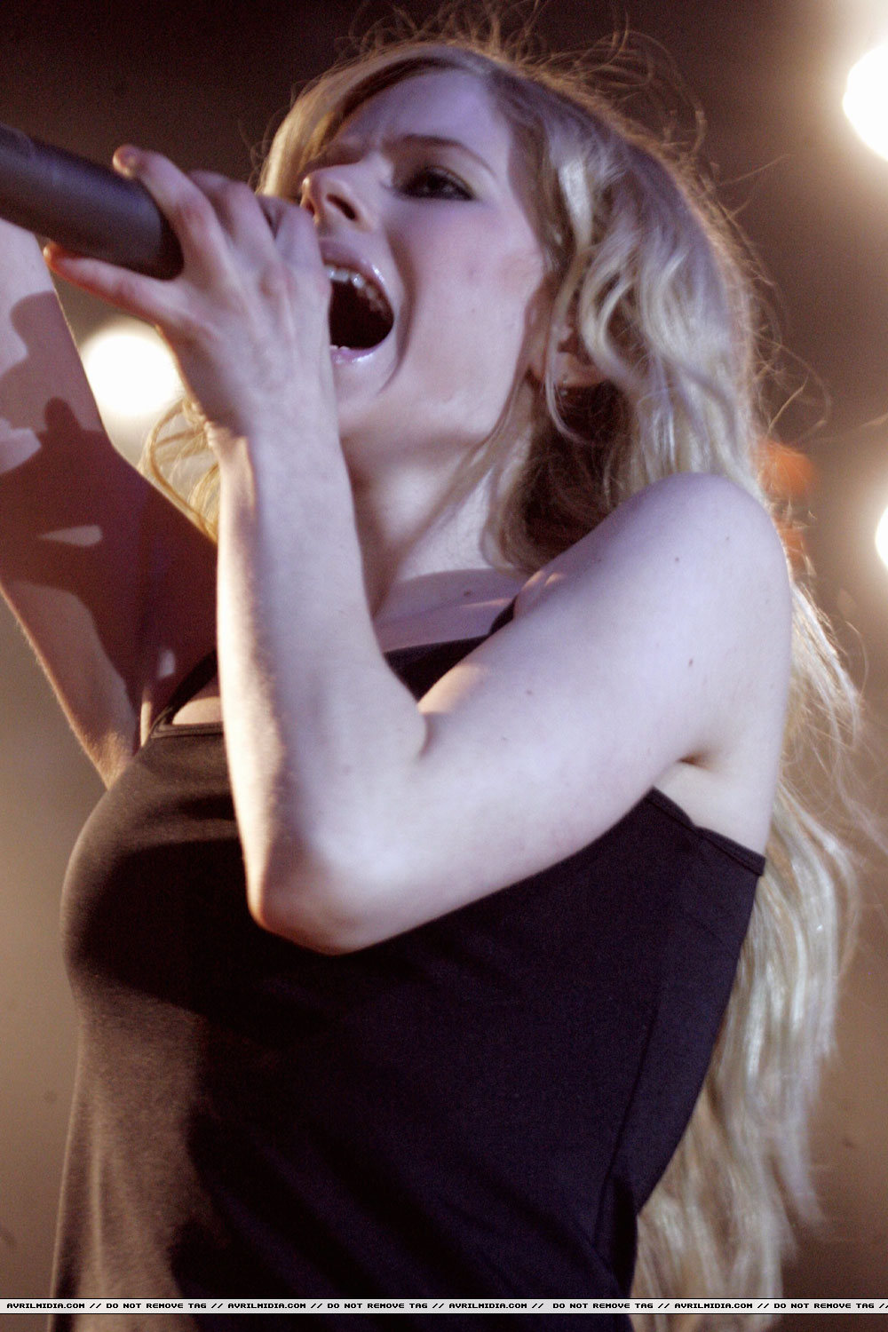 03.jpg