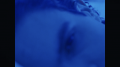 Matrícula=avrilmidia_tellmeitsover_2018077.png
Tamanho=419KB
Dimensão=1700x956
Data Envio=%12 %893, %2018 avrilmidia_tellmeitsover_2018077.png