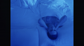 Matrícula=avrilmidia_tellmeitsover_2018148.png
Tamanho=712KB
Dimensão=1700x956
Data Envio=%12 %896, %2018 avrilmidia_tellmeitsover_2018148.png