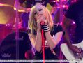 Matrícula=avrillavigne-2007carsondalyshow15jun-56tc_copy.jpg
Tamanho=210KB
Dimensão=1000x753
Data Envio=%03 %790, %2009 avrillavigne-2007carsondalyshow15jun-56tc_copy.jpg