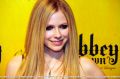 Matrícula=0ABBEYDAWN_PURE_avrilmidia_281429.jpg
Tamanho=394KB
Dimensão=1800x1198
Data Envio=%16 %902, %2013 0ABBEYDAWN_PURE_avrilmidia_281429.jpg