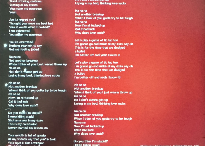 love_sux_encarte_05