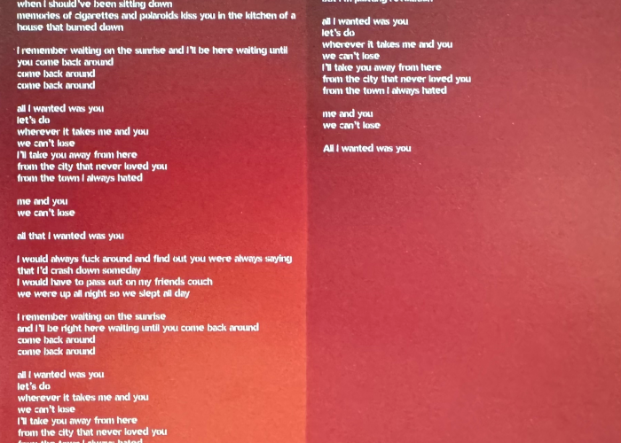 love_sux_encarte_10