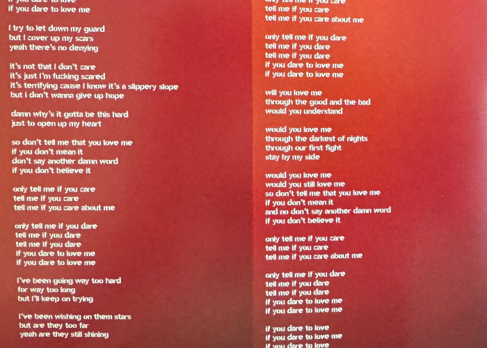 love_sux_encarte_11